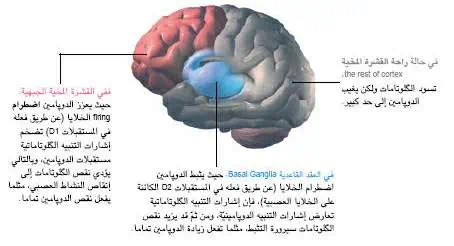 http://oloommagazine.com/images/Articles/20/SCI2004b20N4-5_H05_00659.jpg