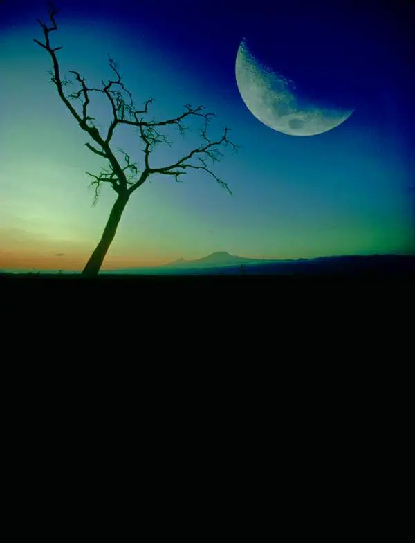 http://oloommagazine.com/images/Articles/20/SCI2004b20N4-5_H03_003439.jpg