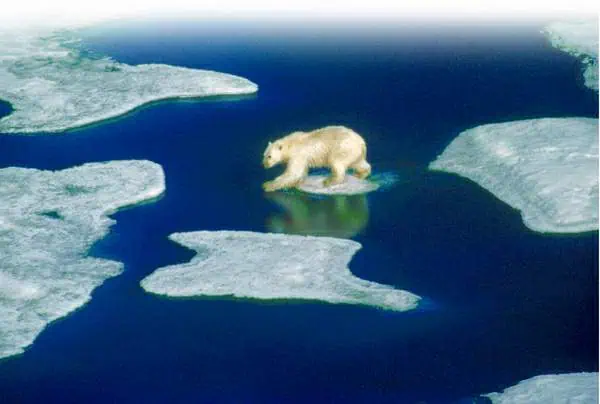 http://oloommagazine.com/images/Articles/20/SCI2004b20N4-5_H03_00648.jpg