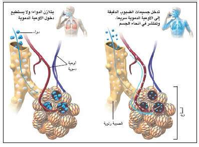 http://oloommagazine.com/images/Articles/20/SCI2004b20N4-5_H02_003435.jpg