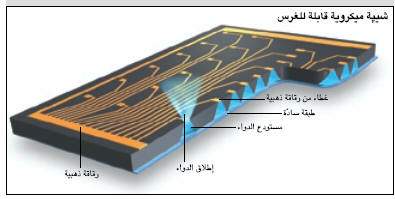 http://oloommagazine.com/images/Articles/20/SCI2004b20N4-5_H02_003438.jpg