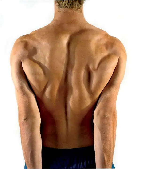 http://oloommagazine.com/images/Articles/20/SCI2004b20N8-9_H05_003789.jpg