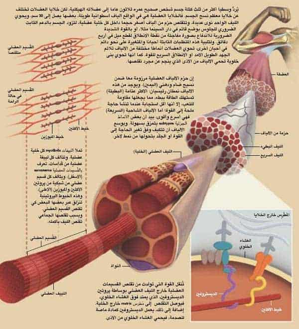 http://oloommagazine.com/images/Articles/20/SCI2004b20N8-9_H05_003790.jpg