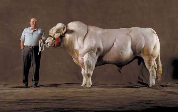 http://oloommagazine.com/images/Articles/20/SCI2004b20N8-9_H05_003791.jpg