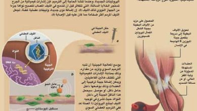 http://oloommagazine.com/images/Articles/20/SCI2004b20N8-9_H05_003792.jpg
