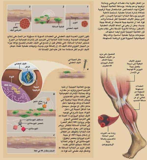 http://oloommagazine.com/images/Articles/20/SCI2004b20N8-9_H05_003792.jpg
