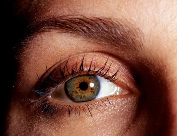 http://oloommagazine.com/images/Articles/20/SCI2004b20N2-3_H04_003355.jpg