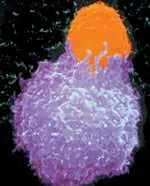 http://oloommagazine.com/images/Articles/20/SCI2004b20N2-3_H02_003333.jpg