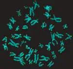 http://oloommagazine.com/images/Articles/20/SCI2004b20N2-3_H02_003336.jpg