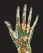 http://oloommagazine.com/images/Articles/20/SCI2004b20N2-3_H02_003337.jpg
