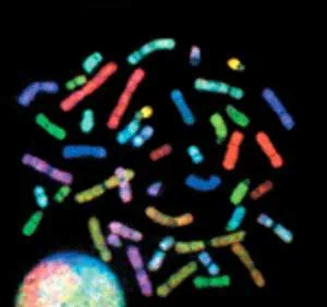 http://oloommagazine.com/images/Articles/20/SCI2004b20N2-3_H02_003339.jpg