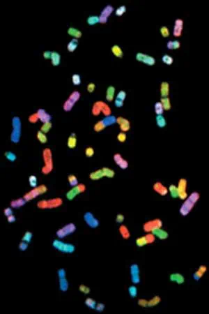 http://oloommagazine.com/images/Articles/20/SCI2004b20N2-3_H02_003340.jpg