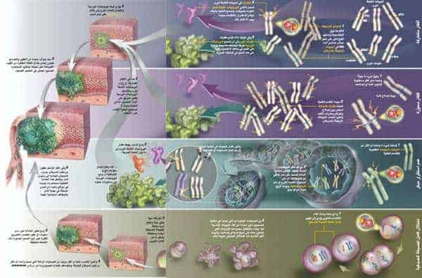 http://oloommagazine.com/images/Articles/20/SCI2004b20N2-3_H02_003341.jpg