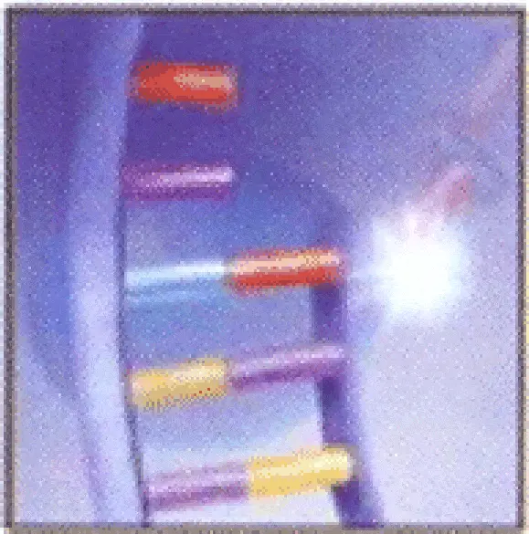 http://oloommagazine.com/Images/Articles/2006/10/scan0024-2.gif