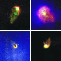 http://oloommagazine.com/images/Articles/2006/11-12/81.gif