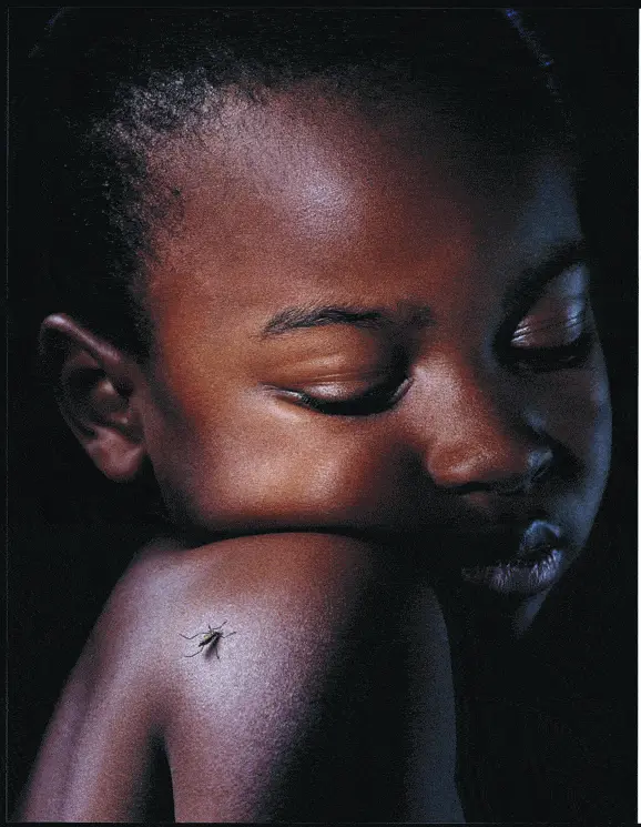http://oloommagazine.com/images/Articles/2006/11-12/10.gif