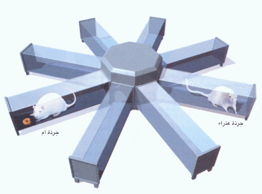 http://oloommagazine.com/images/Articles/2006/3-4/122.gif