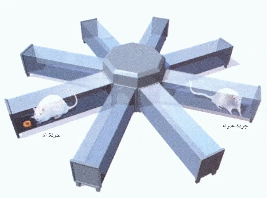http://oloommagazine.com/images/Articles/2006/3-4/122.gif