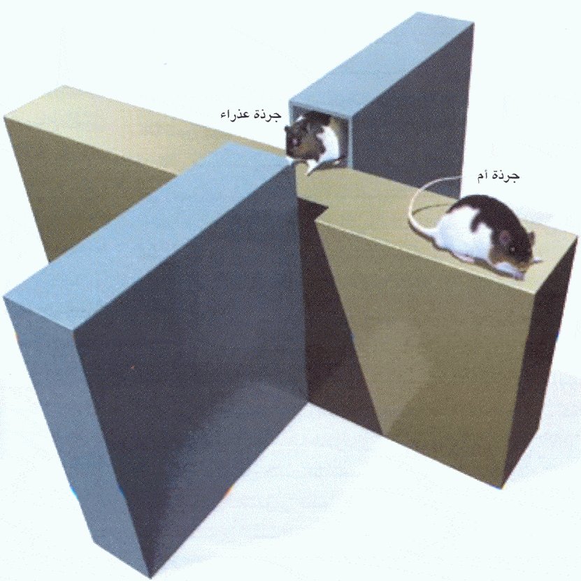 http://oloommagazine.com/images/Articles/2006/3-4/123.gif
