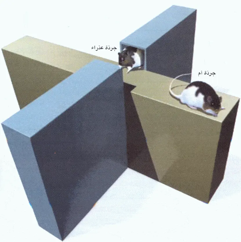 http://oloommagazine.com/images/Articles/2006/3-4/123.gif