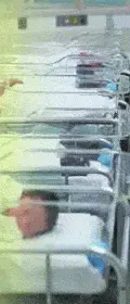 http://oloommagazine.com/images/Articles/2006/5/70.gif