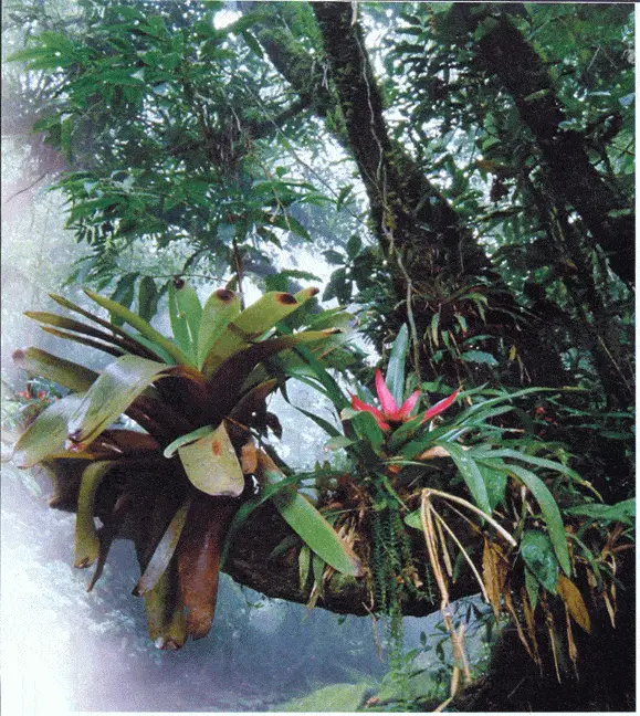 http://oloommagazine.com/images/Articles/2006/5/P20.gif