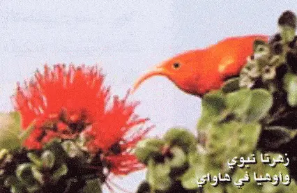 http://oloommagazine.com/images/Articles/2006/5/P26.gif