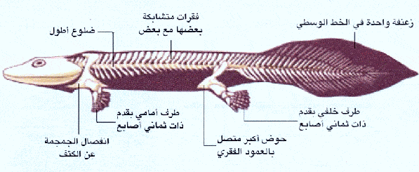http://oloommagazine.com/images/Articles/2006/6-7/Copy%20(2)%20of%20004.gif