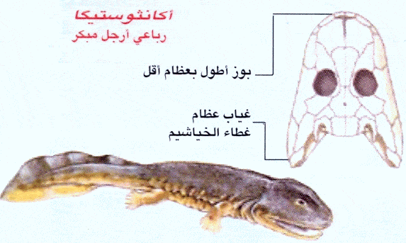 http://oloommagazine.com/images/Articles/2006/6-7/Copy%20(3)%20of%20004.gif