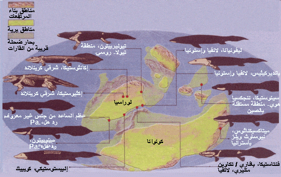http://oloommagazine.com/images/Articles/2006/6-7/0006%20copy.gif
