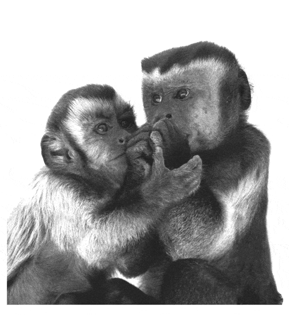 http://oloommagazine.com/images/Articles/2006/6-7/36.gif