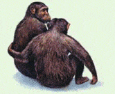 http://oloommagazine.com/images/Articles/2006/6-7/122.gif
