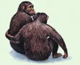 http://oloommagazine.com/images/Articles/2006/6-7/122.gif