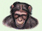 http://oloommagazine.com/images/Articles/2006/6-7/124.gif