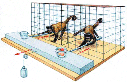 http://oloommagazine.com/images/Articles/2006/6-7/41.gif