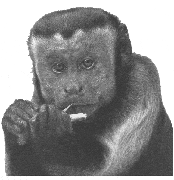 http://oloommagazine.com/images/Articles/2006/6-7/32.gif