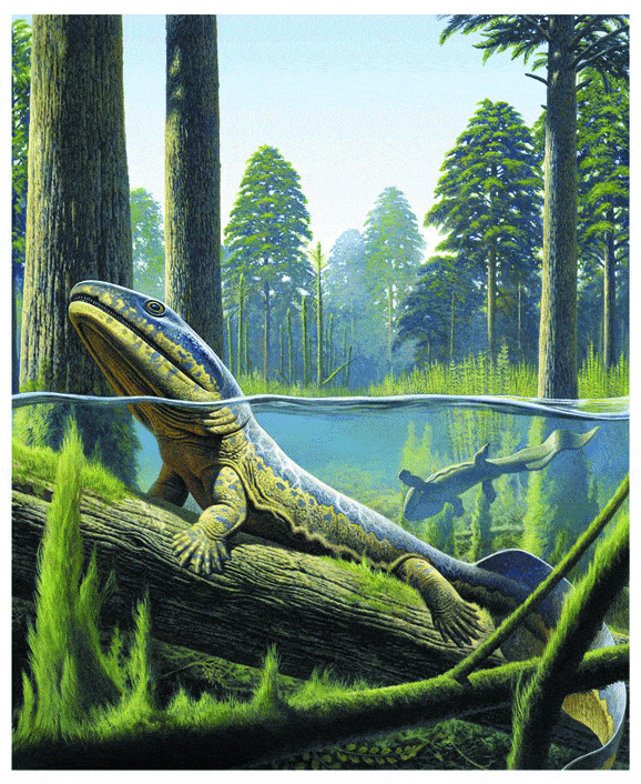 http://oloommagazine.com/images/Articles/2006/6-7/55.gif