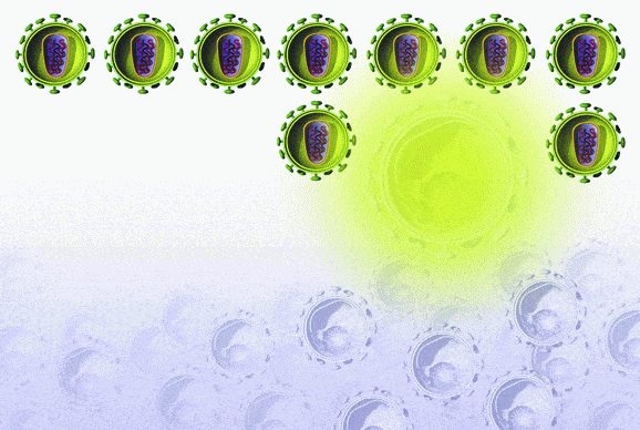 http://oloommagazine.com/images/Articles/2006/8-9/28.gif