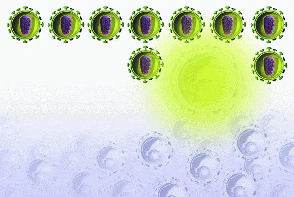http://oloommagazine.com/images/Articles/2006/8-9/28.gif