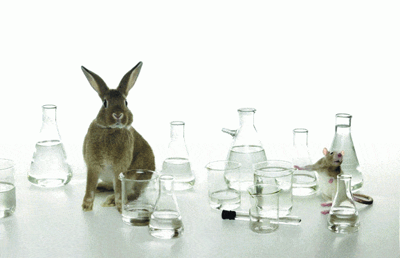 http://oloommagazine.com/images/Articles/2006/8-9/84.gif