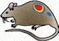 http://oloommagazine.com/images/Articles/2006/8-9/114.gif