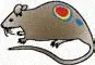 http://oloommagazine.com/images/Articles/2006/8-9/114.gif