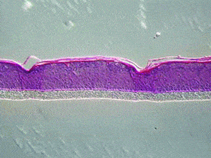 http://oloommagazine.com/images/Articles/2006/8-9/111.gif