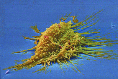 http://oloommagazine.com/images/Articles/2006/8-9/110.gif