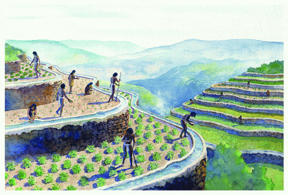 http://oloommagazine.com/images/Articles/2007/1/07.gif
