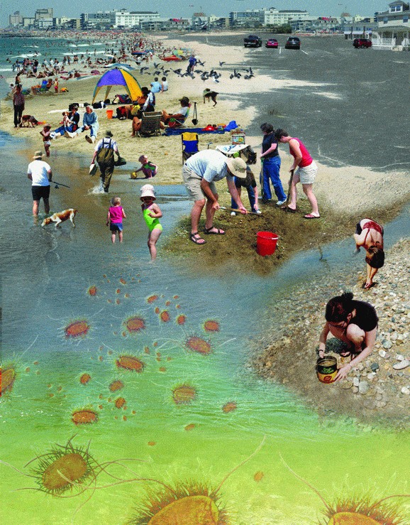 http://oloommagazine.com/images/Articles/2007/2-3/10.gif