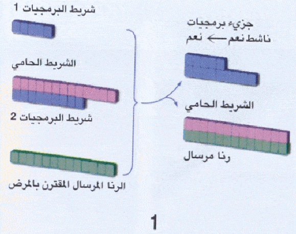 http://oloommagazine.com/Images/Articles/2007/4/0012.gif-2.gif