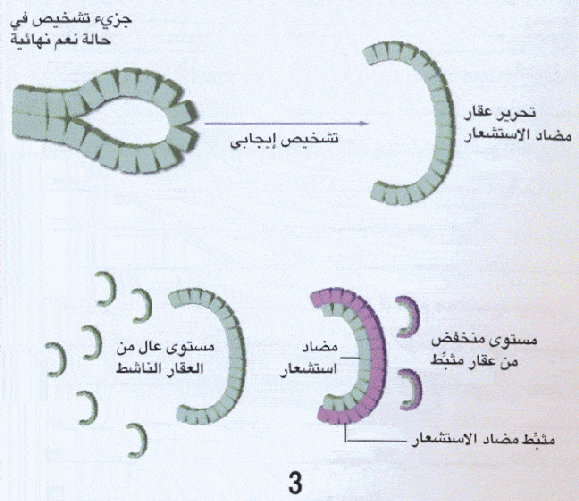 http://oloommagazine.com/Images/Articles/2007/4/0012.gif-1.gif