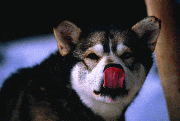 http://oloommagazine.com/Images/Articles/2007/4/40.gif