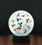 http://oloommagazine.com/images/Articles/2007/5-6/95.gif